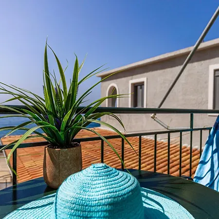 Marina 카르다밀리